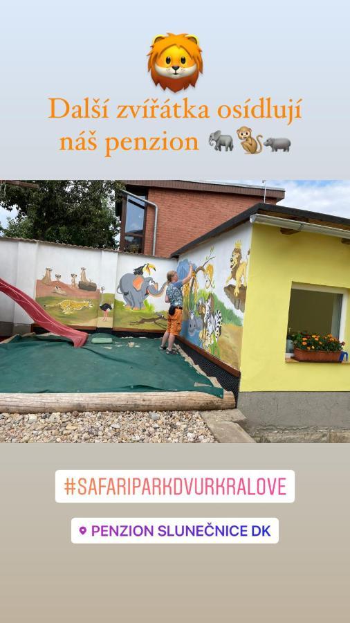 Penzion Slunecnice Dvůr Králové nad Labem Eksteriør bilde