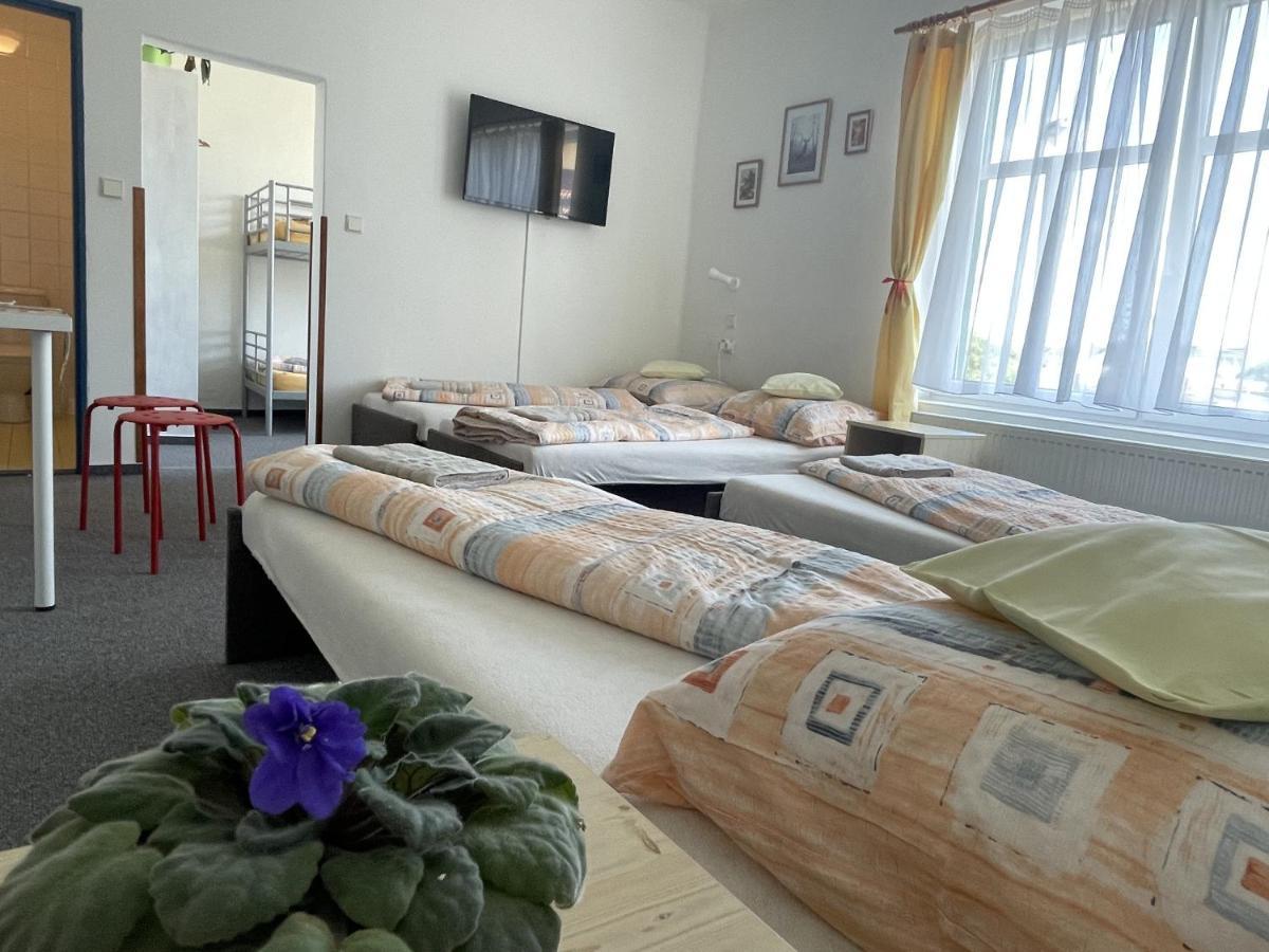 Penzion Slunecnice Dvůr Králové nad Labem Eksteriør bilde