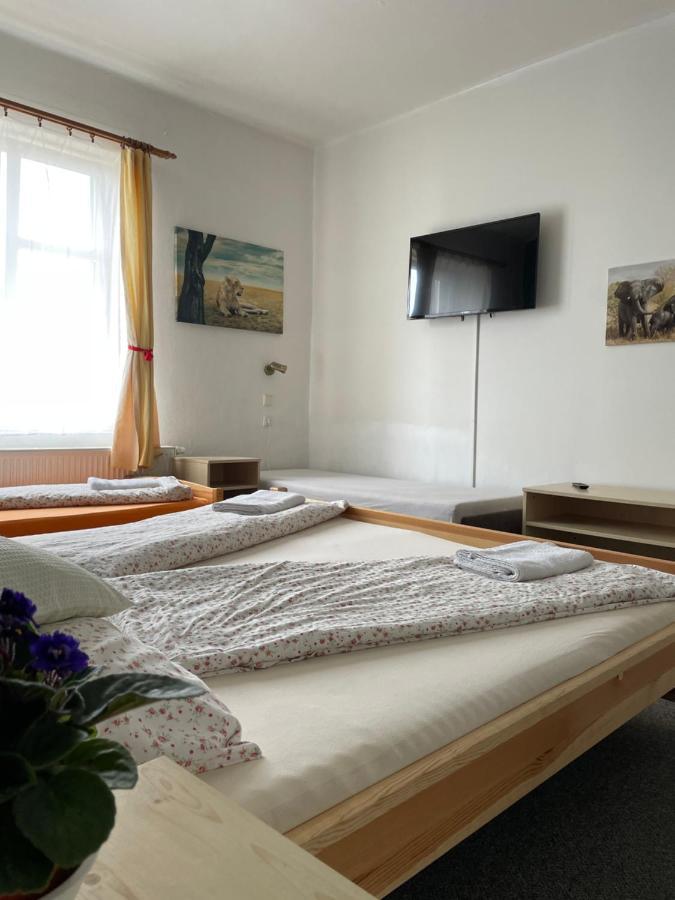 Penzion Slunecnice Dvůr Králové nad Labem Eksteriør bilde