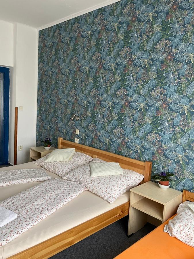 Penzion Slunecnice Dvůr Králové nad Labem Eksteriør bilde