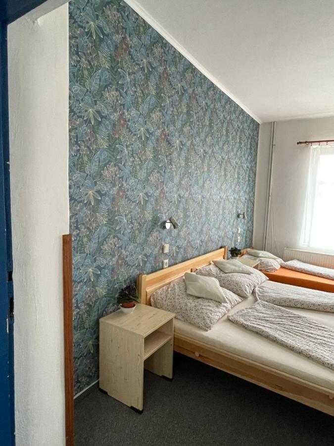 Penzion Slunecnice Dvůr Králové nad Labem Eksteriør bilde