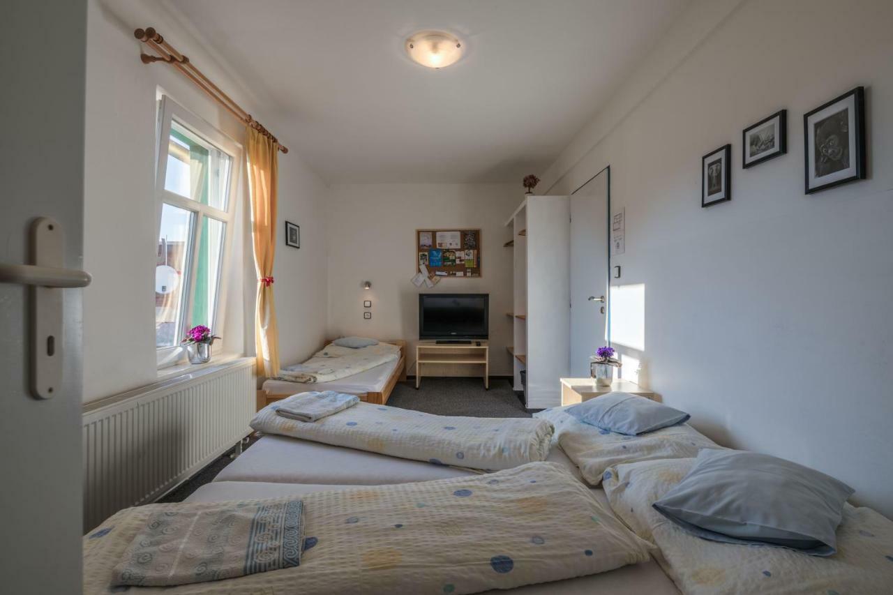 Penzion Slunecnice Dvůr Králové nad Labem Eksteriør bilde